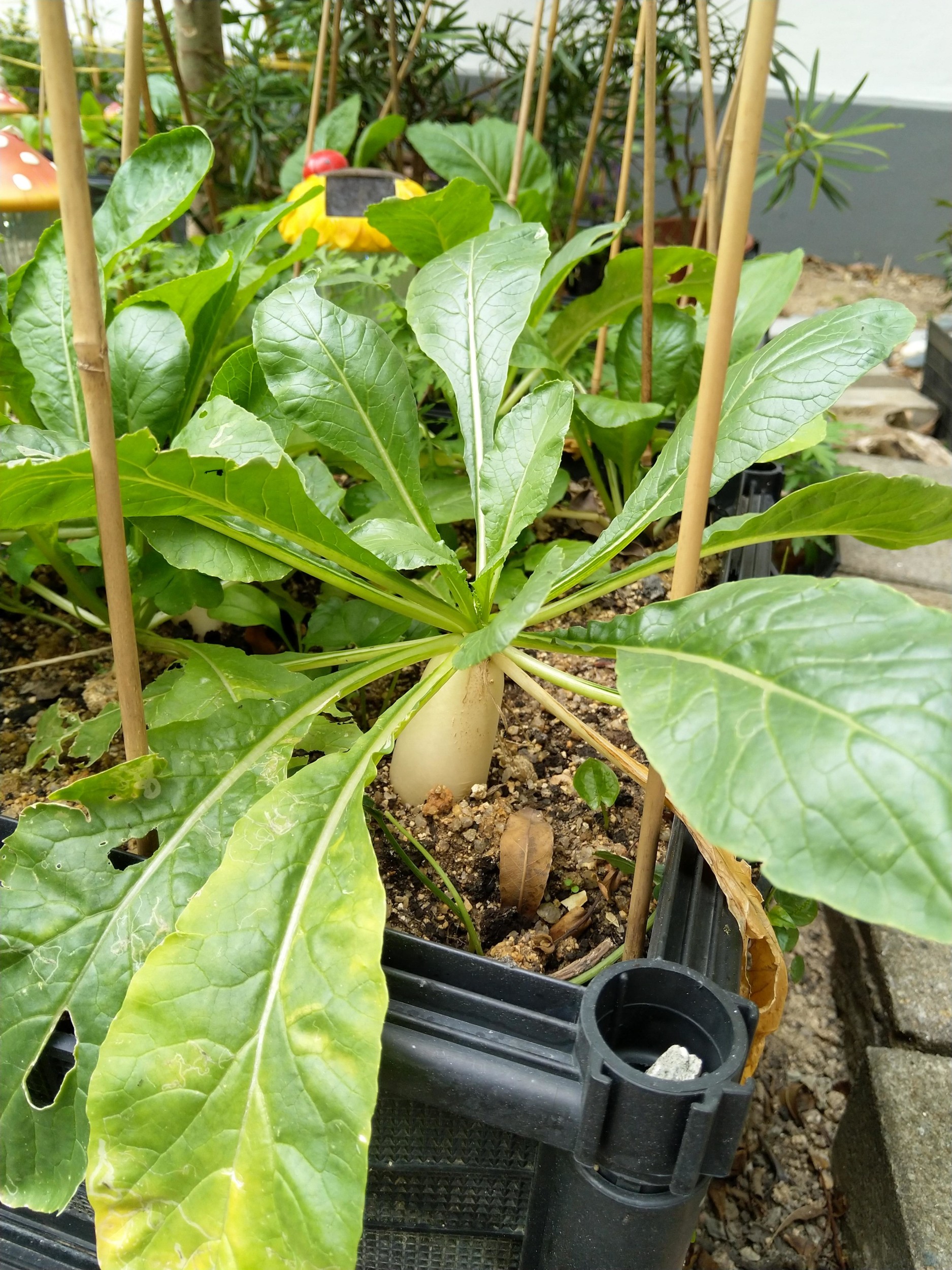 Index of /public/storage/f